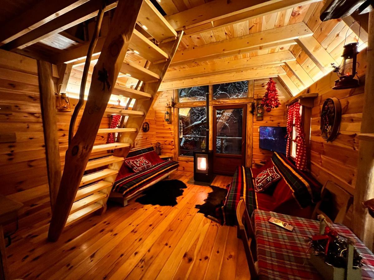 Tara Place - Camp Rabrenovic Mojkovac Ngoại thất bức ảnh