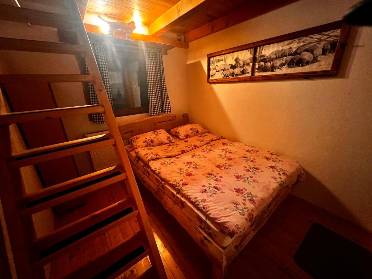 Tara Place - Camp Rabrenovic Mojkovac Ngoại thất bức ảnh
